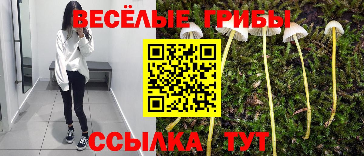 Елизово  Галлюциногенные грибы Psilocybine cubensis  Вход с VPN  Псилоцибиновые грибы прущие грибы 